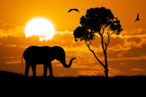 modern-3-piece-aluminium-print-dreamy-africa