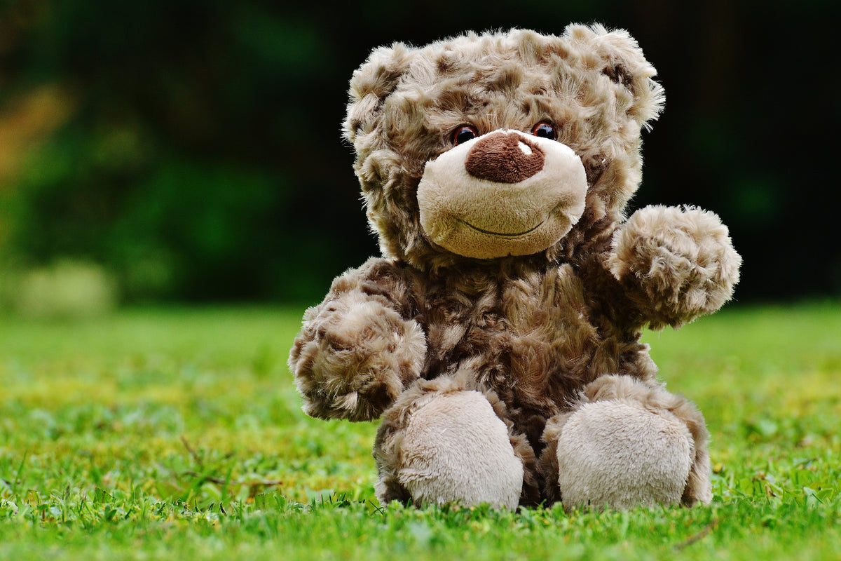 acrylic-print-happy-teddy-bear