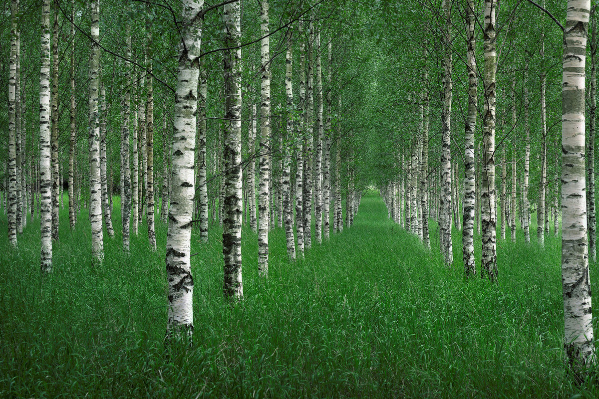 canvas-print-the-tunnel