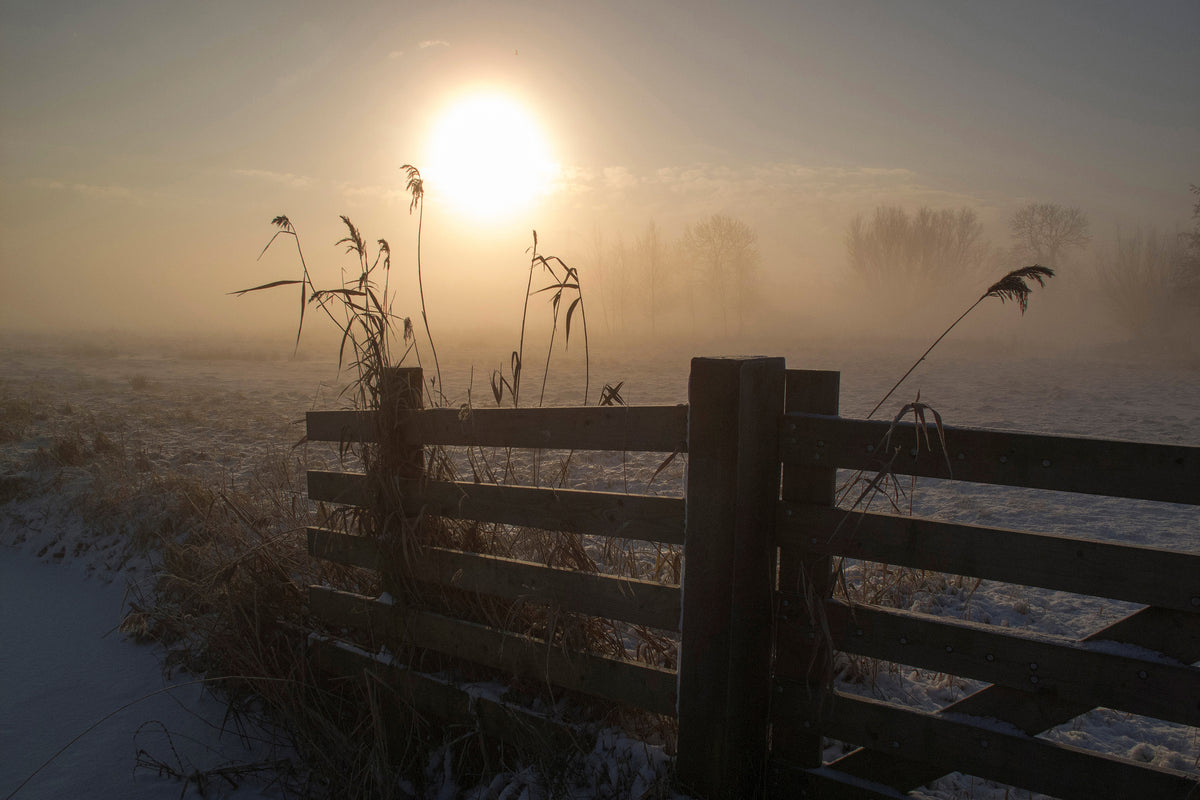 acrylic-print-winter-mood