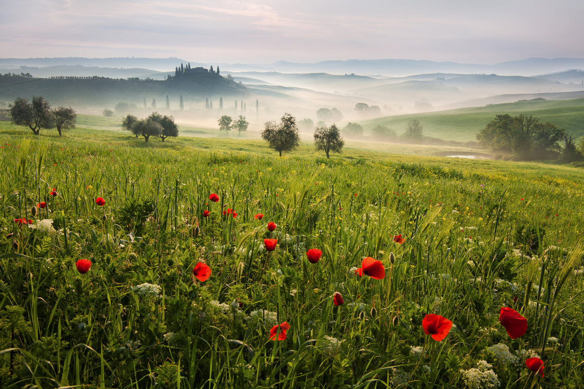 modern-3-piece-canvas-print-tuscan-spring