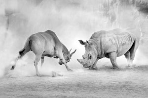 modern-3-piece-aluminium-print-combat