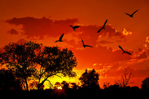 aluminium-print-african-feeling
