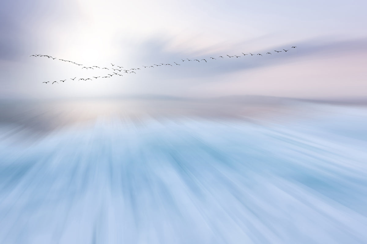 acrylic-print-fly-over-x