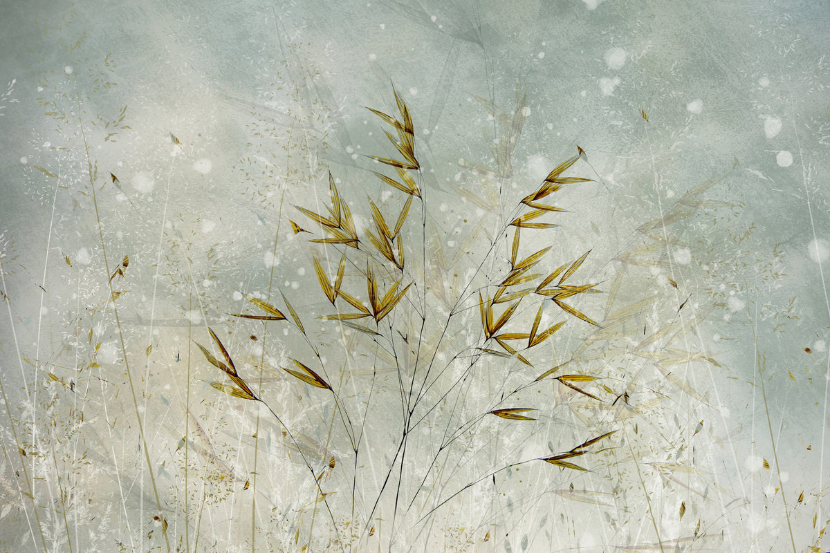 aluminium-print-wintertime-x