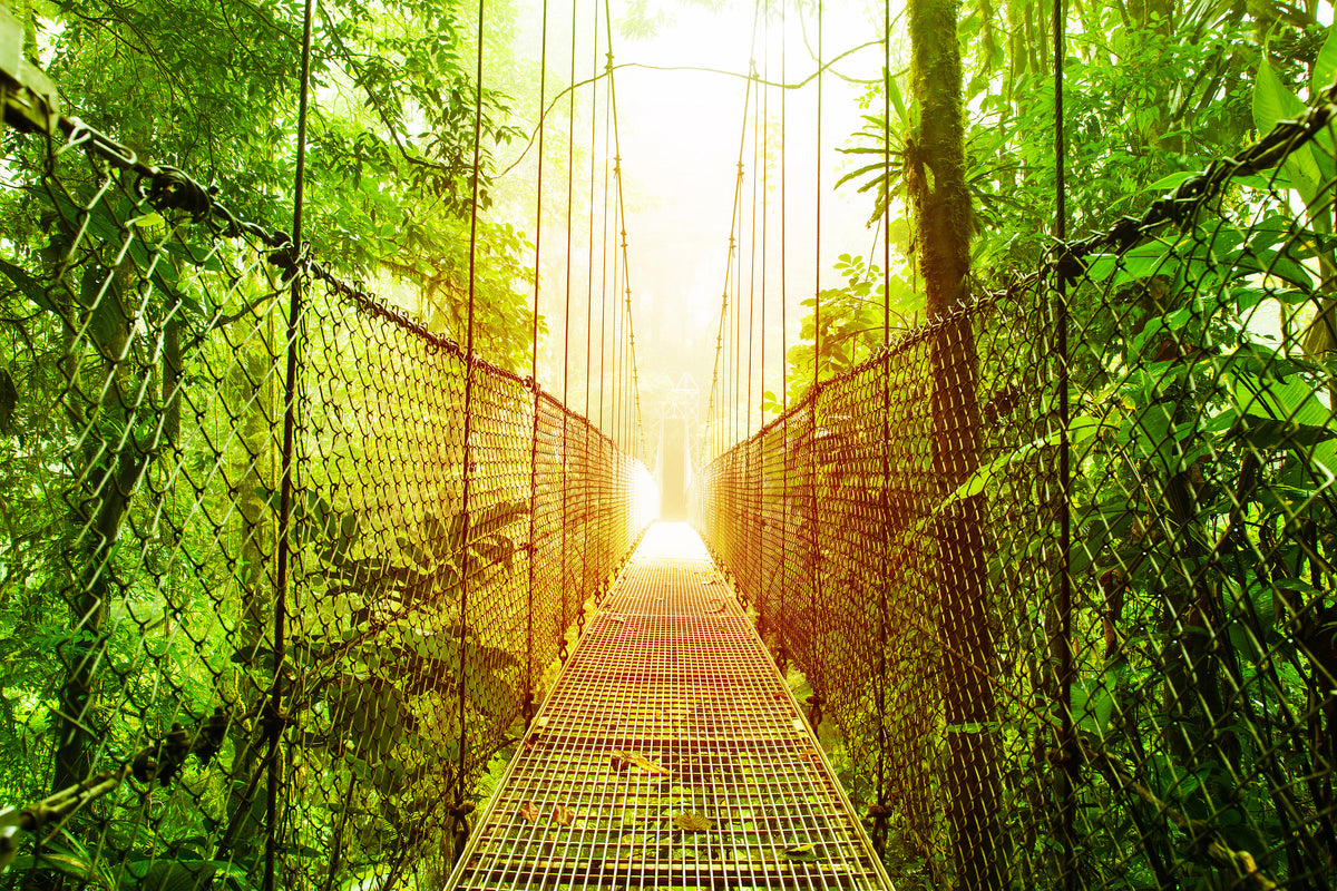 poster-print-suspension-bridge