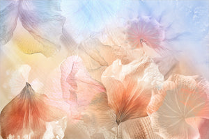 poster-print-ethereal-flowers-x
