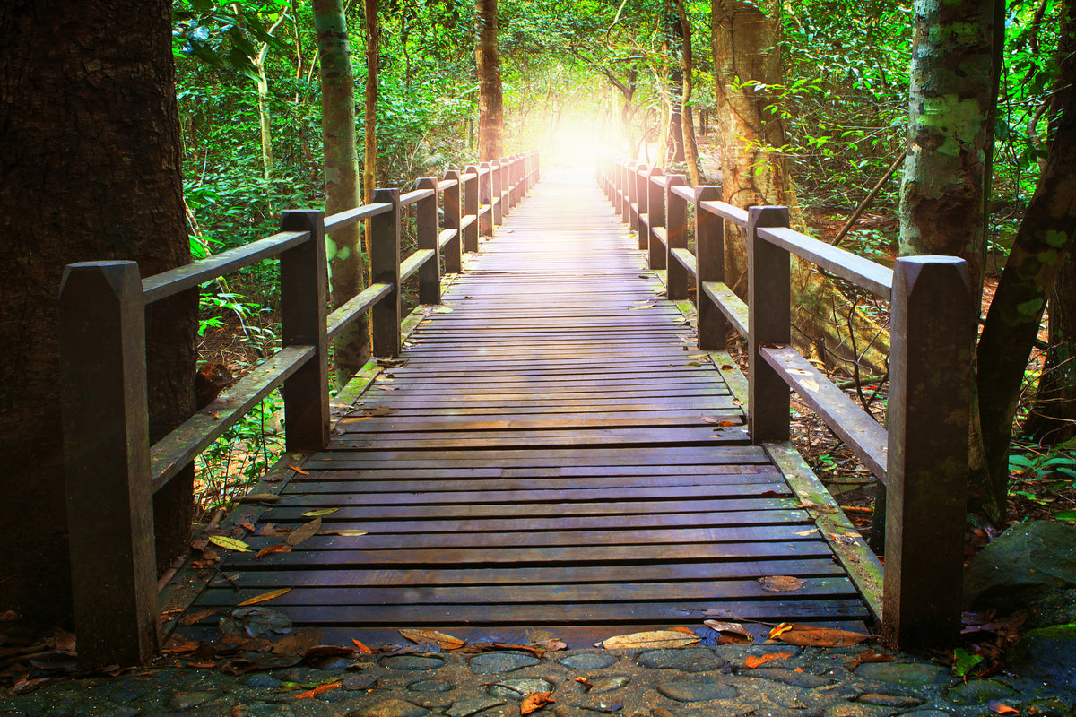acrylic-print-the-bridge-in-the-forest