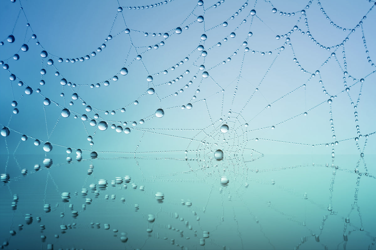 modern-3-piece-aluminium-print-cobweb-in-morning-dew