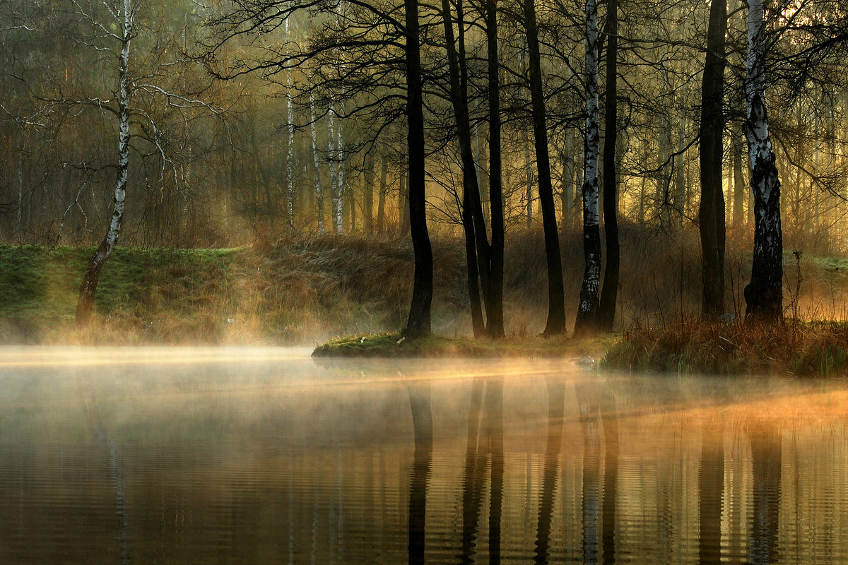 acrylic-print-silent-light-x