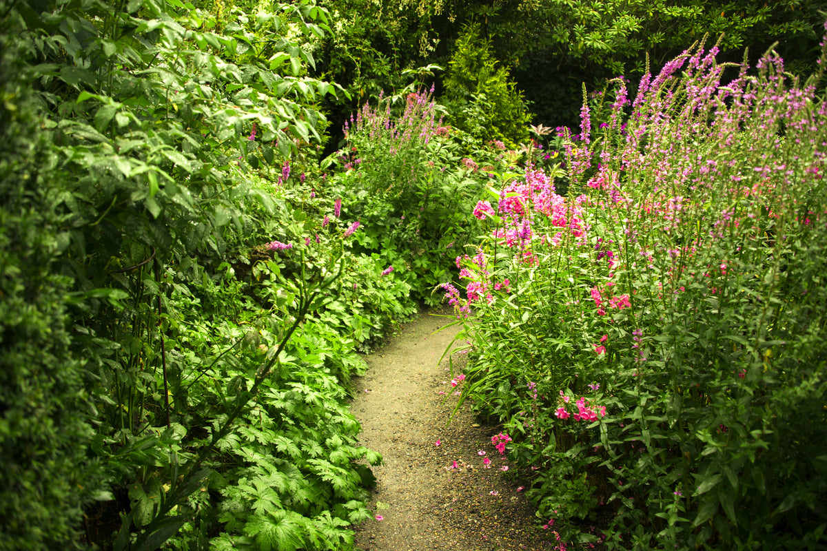 modern-3-piece-canvas-print-garden-path