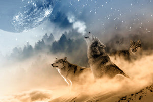aluminium-print-the-world-of-wolves