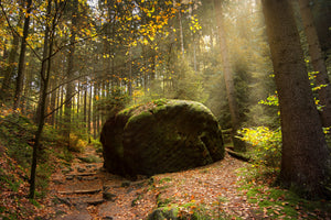modern-3-piece-acrylic-print-the-rock-in-the-forest