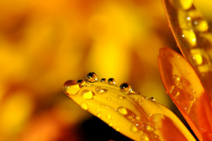 modern-3-piece-acrylic-print-drops-close-up