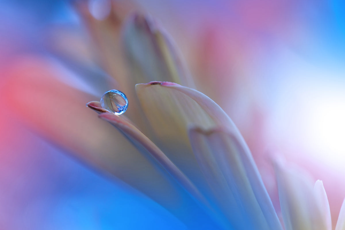 canvas-print-touch-me-softly