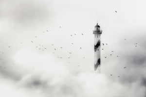 acrylic-print-the-fog