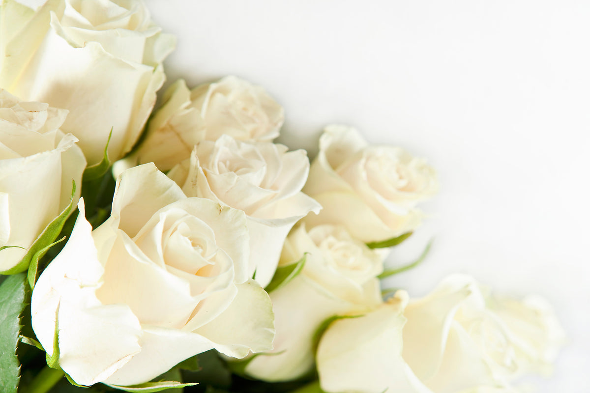modern-3-piece-acrylic-print-white-roses