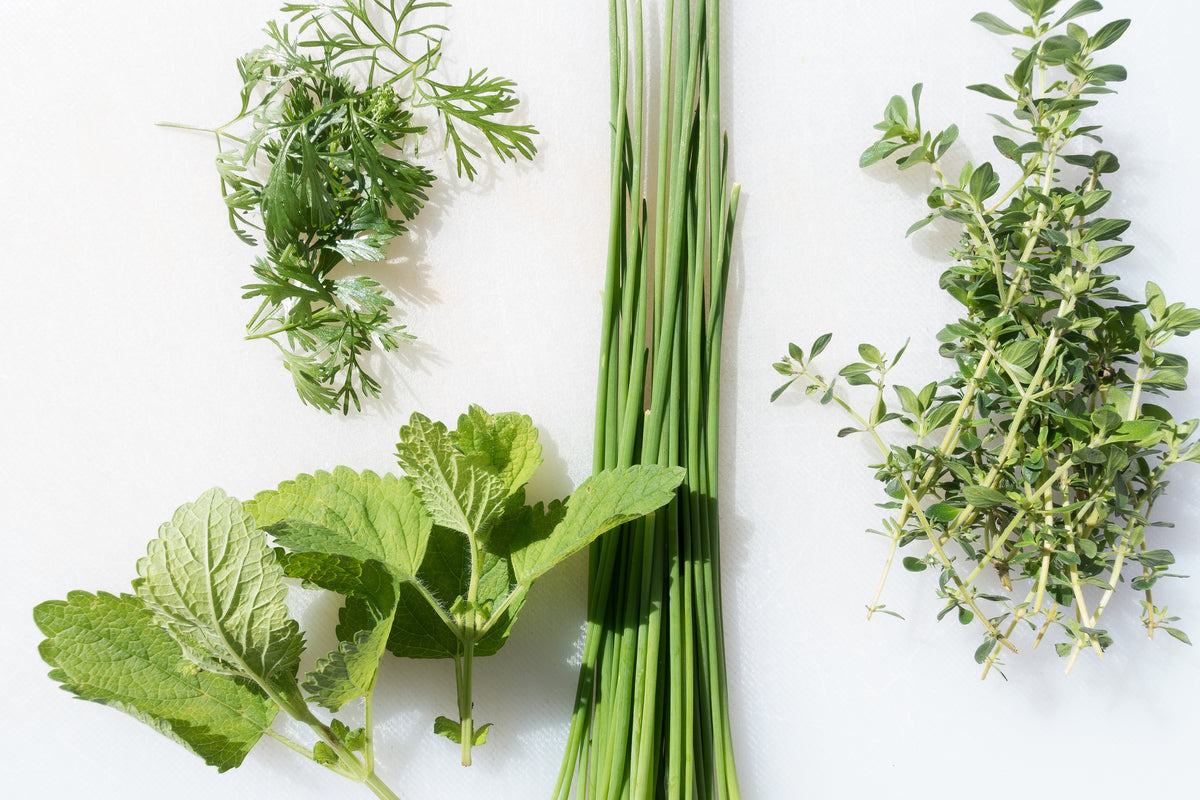 3-piece-acrylic-print-fresh-herbs