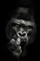 framedposter-print-attitude-x