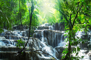 poster-print-waterfall-agua-azul