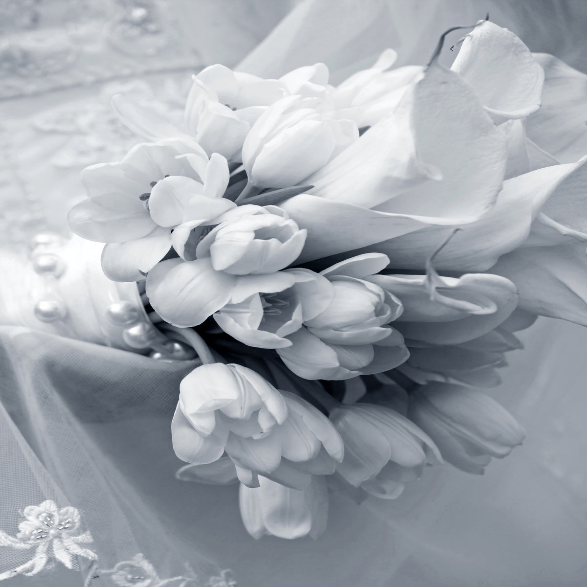 9-piece-acrylic-print-romantic-tulips-bouquet