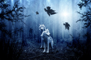 acrylic-print-wolf39s-couple