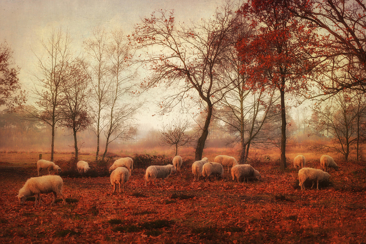 aluminium-print-last-days-of-autumn
