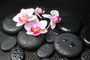 poster-print-feng-shui-orchid-zen