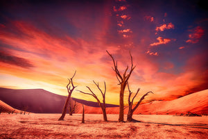 framedposter-print-colorful-desert