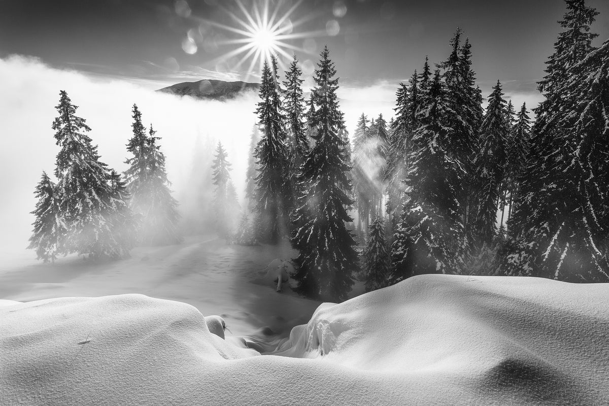 acrylic-print-a-winter-tale