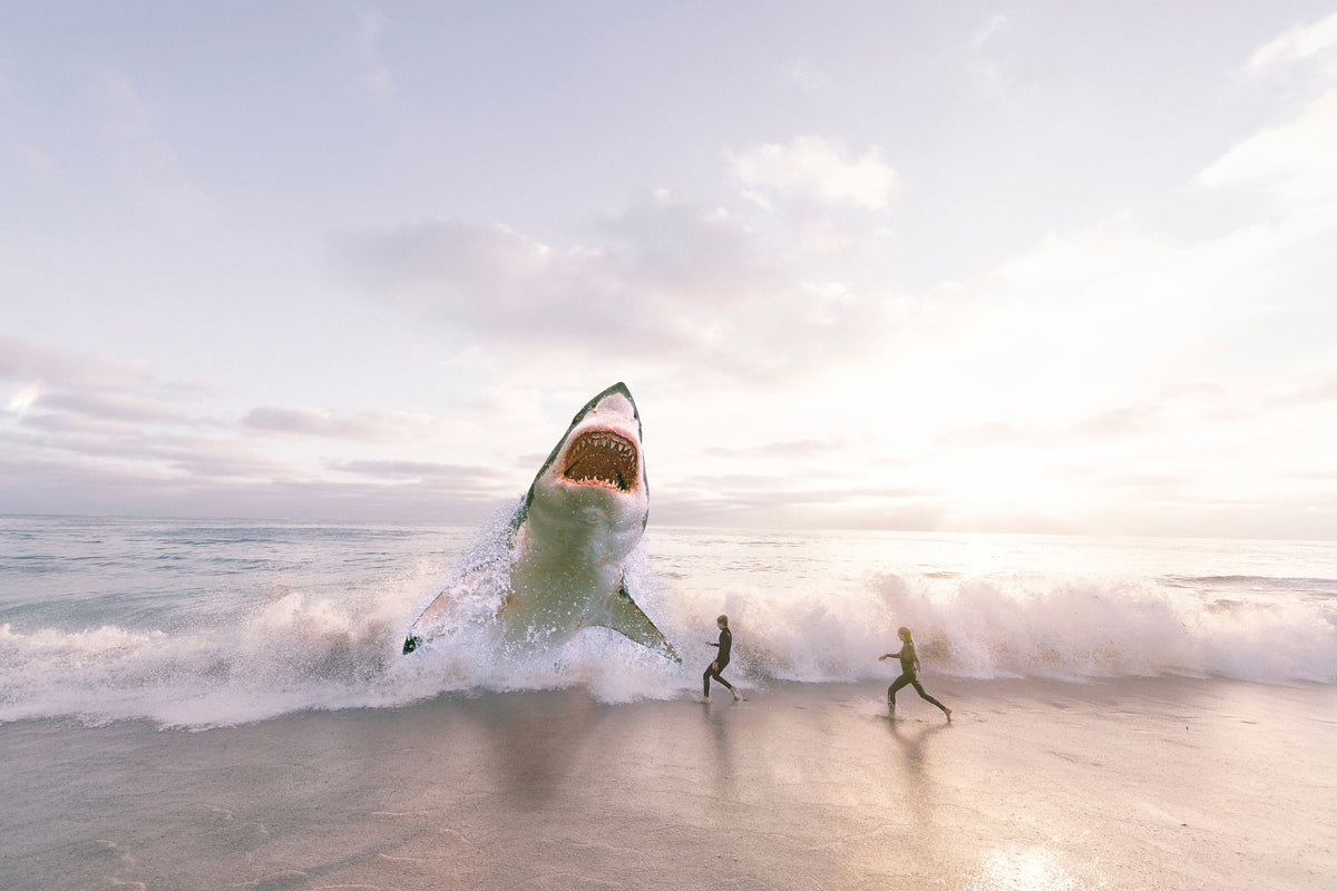 3-piece-acrylic-print-beware-shark