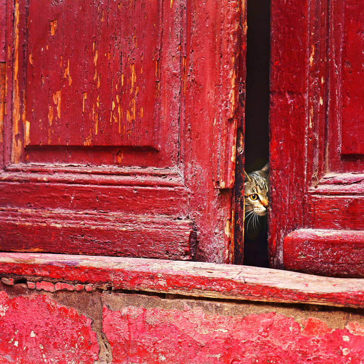 aluminium-print-behind-the-scene
