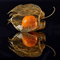 9-piece-acrylic-print-physalis