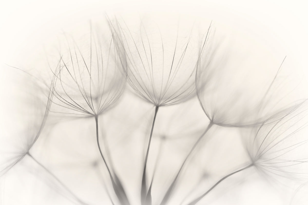 framedcanvas-print-no-title