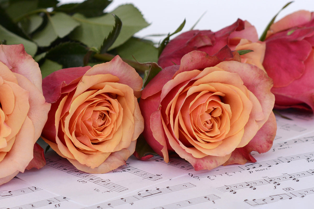 modern-3-piece-aluminium-print-notes-of-love