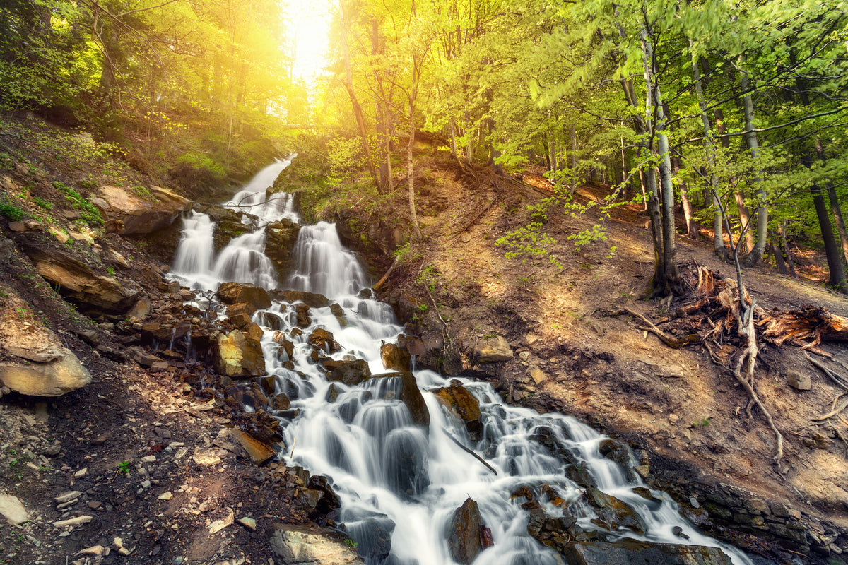 poster-print-natural-beauty