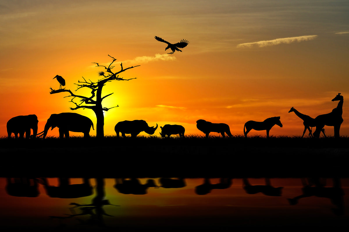 canvas-print-safari-animals-at-sunset