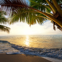 4-piece-aluminium-print-beach-view