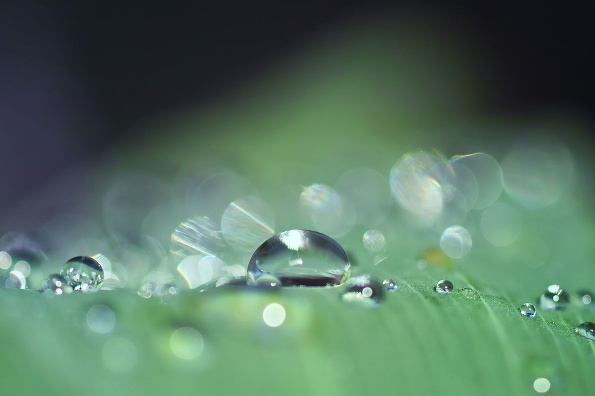 acrylic-print-drops-of-water-in-xxl