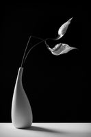 aluminium-print-passionately-x