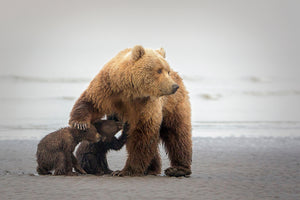 3-piece-acrylic-print-family-time