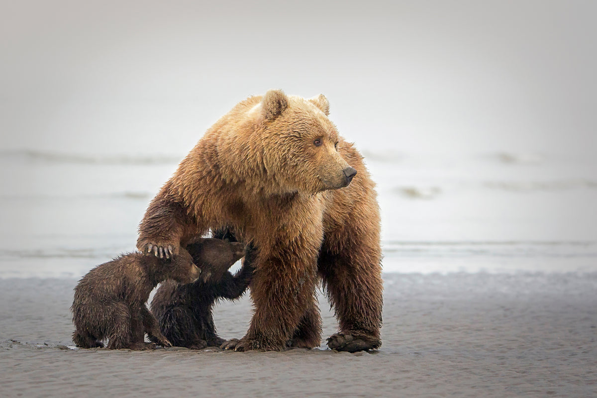 3-piece-acrylic-print-family-time