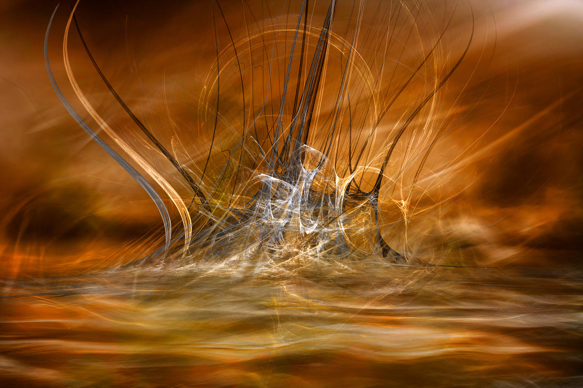 acrylic-print-the-rising-x