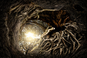 framedposter-print-under-the-trees
