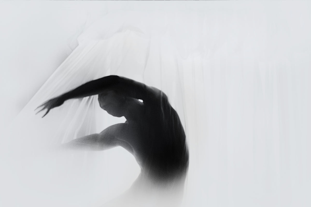 aluminium-print-the-dance-of-silence