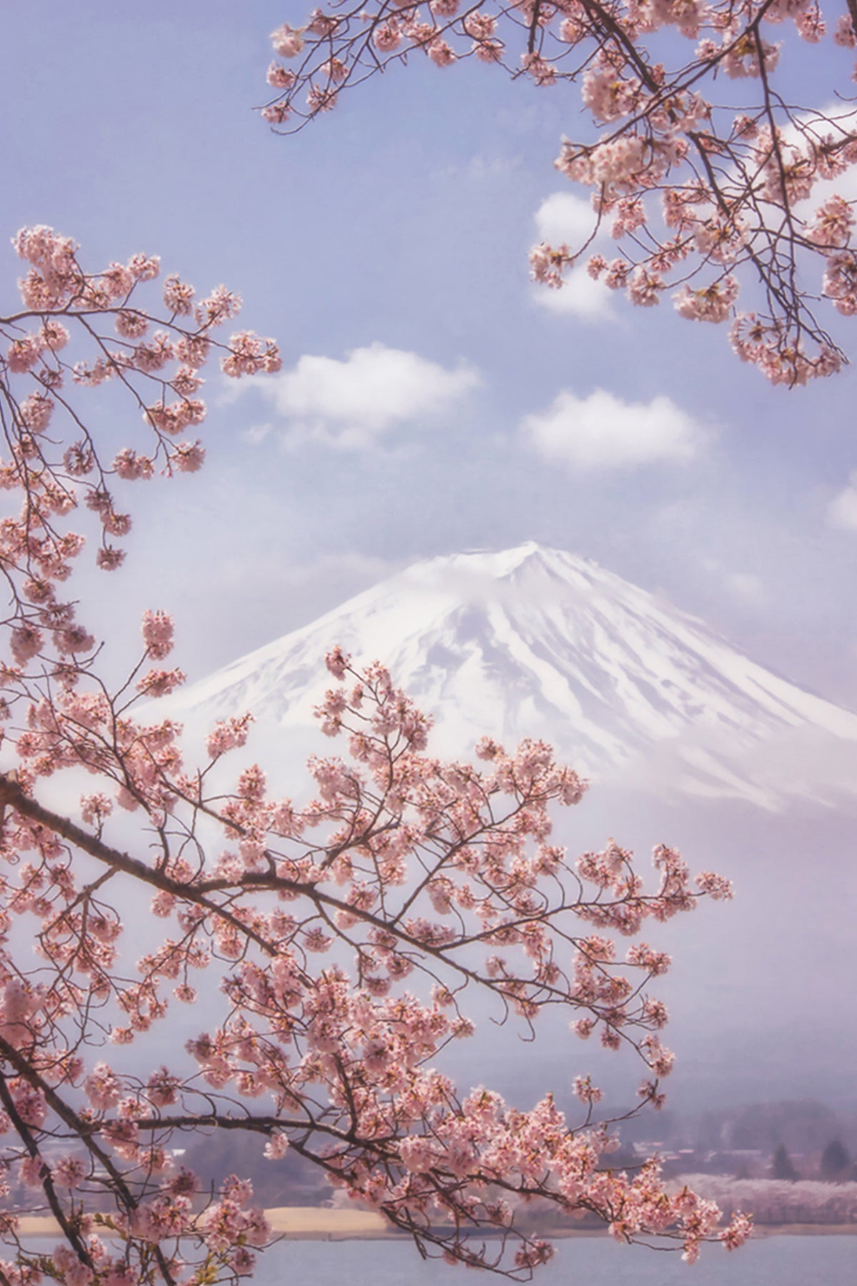 framedposter-print-mtfuji-in-the-cherry-blossoms-x