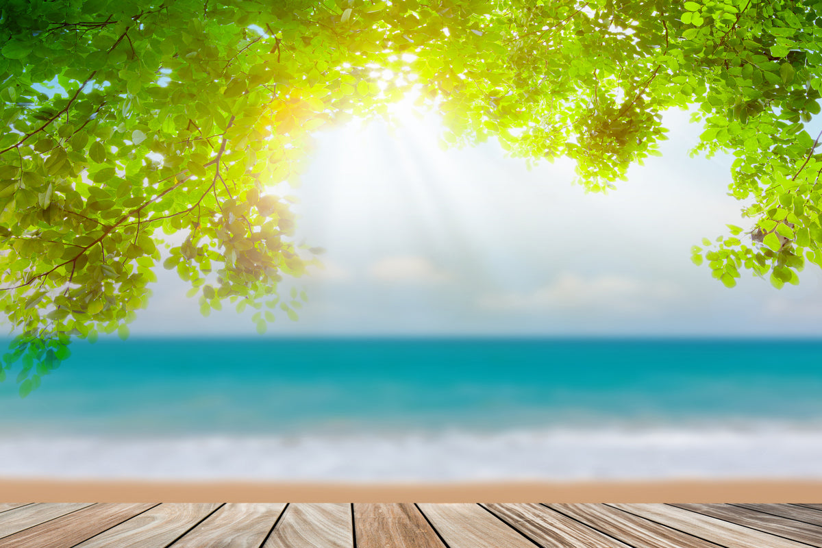 acrylic-print-beach-terrace