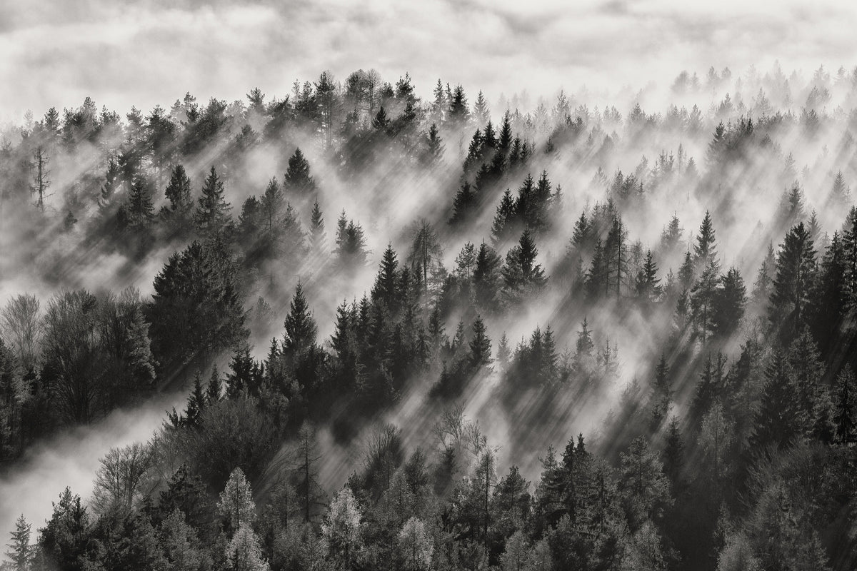 acrylic-print-sundance-no-i