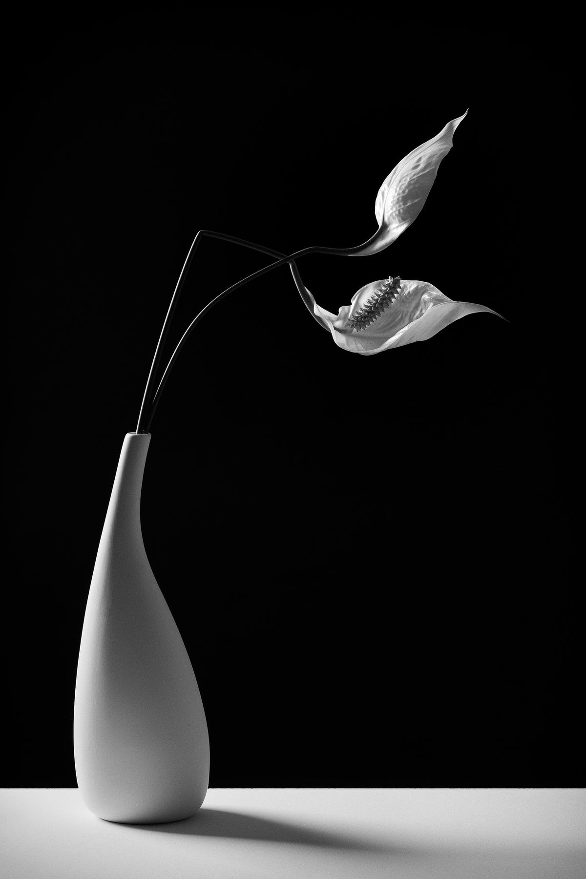 acrylic-print-passionately-x