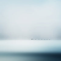 4-piece-aluminium-print-wild-geese
